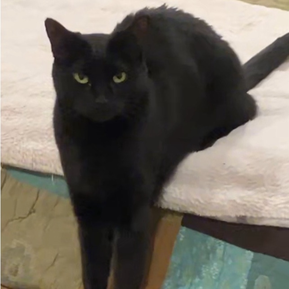 Meet your Posher, Nick